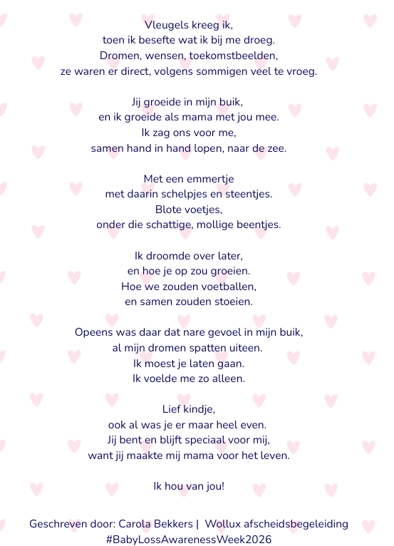 1 (3) gedicht BLAW 2026 dag 1